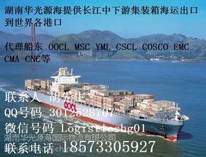 上海至長沙水運(yùn)集裝箱門到門運(yùn)輸與海上國際貨物運(yùn)輸代理一體化解決方案